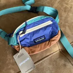タグ付き未使用Patagoniaパタゴニアテラヴィアミニピックバッグ廃盤カラー