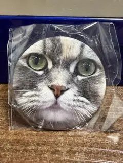 猫カフェMOCHA ミラー缶　天神大名