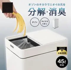 センター開閉式 オゾン消臭機能付き45Lスライド蓋ゴミ箱