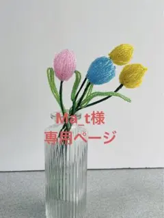 Ma_t様専用ページ