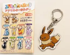 ポケモン ぷろじぇくといーぶいだよ アクリルキーホルダー イーブイ