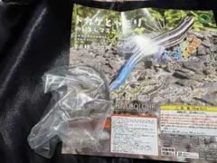 ズチコ様 リクエスト 2点 まとめ商品