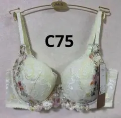 Item thumbnail for item 1cc9b915-b14e-40c7-a5ca-5e31f258969f