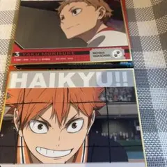 【ハイキュー！！】日向翔陽　夜久衛輔　色コレ