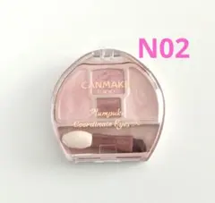 CANMAKE　プランぷく　コーデアイズNeo　N02のサムネイル