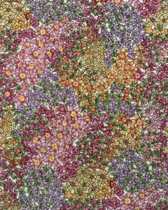 hn様 リクエスト 2点 まとめ商品