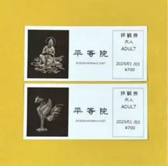 平等院鳳凰堂　使用済み拝観券　２枚　コレクション　パンフレット　セット　京都