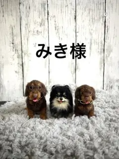 羊毛フェルト　みき様