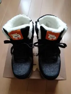 Item thumbnail for item 4438280b-1265-4e58-98c5-f853a305ef10