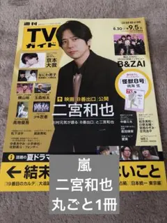 AKB48 嵐 未開封 TVガイド テレビガイド 関東版 2011年4月1日号 AKB48 嵐 未開封 TVガイド テレビガイド 関東版 2011年4月1日