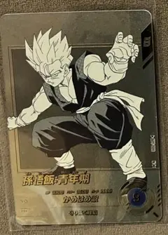 ドラゴンボール 孫悟飯 APT-009 パラレル