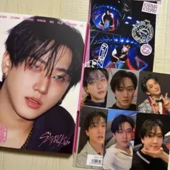StrayKids スキズ チャンビン盤 トレカ ソニミュ