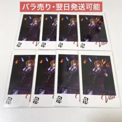 騎士A 騎士X ばぁうくん フォトカ まとめ売り8枚セット
