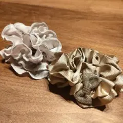 シュシュ