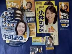 国民民主党　ピンバッジ他