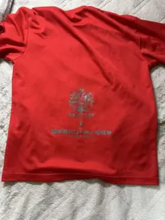 北陸高校ハンドボール 国体優勝記念Tシャツ - メルカリ