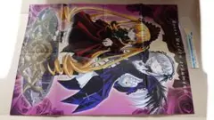 アニメディア　付録　ローゼンメイデン　たねきゃらかれんだぁ　リバーシブルポスター