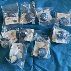 ダイドー深海生物 フィギュア コレクション 蓄光ver まとめ売り 全9種のサムネイル