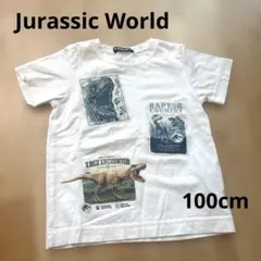 Jurassic World 恐竜　Tシャツ ホワイト キッズ　100のサムネイル