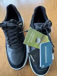 Item thumbnail for item b1e407cb-e842-4972-8b51-43901267e33e