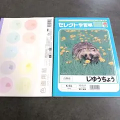 ミルキーカラー色画用紙 　自由帳セットのサムネイル