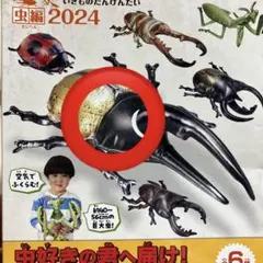 Item thumbnail for item 91669d1d-52cd-46d9-bb57-ded8a6c14996