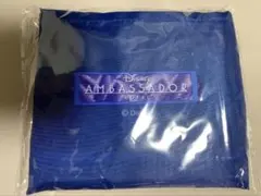 Item thumbnail for item 548bb79e-5bfe-40f7-a118-92c598f5ea3a