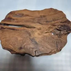 希少 1/1000本】黒柿 天然木 切り株 置物 オブジェ 輪切り 飾り台