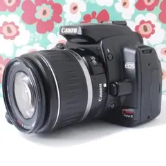 Item thumbnail for item 20269dae-d01a-4cdb-8174-28ee5e51e5bd