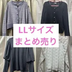 4点セット カーディガン2点トップス2点 LL