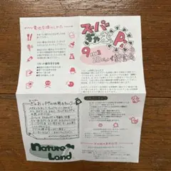☆スーパーぎゃおッPi 説明書☆