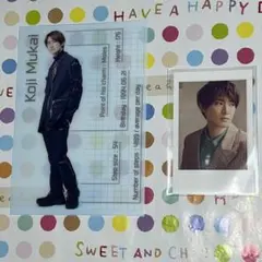 SnowMan 向井康二