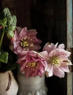 しなもん様　オーダーページ