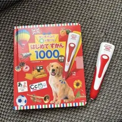 はじめてずかん1000 （美品）動作確認＆電池入替済