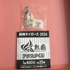 阪神タイガース 2026 岩崎優 アクリルスタンド 熱覇