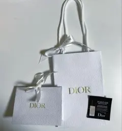 Dior ディオール　ショップ袋２種&リキッドファンデーション１つ　セット
