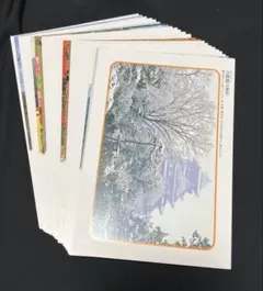 2025年最新】40円はがき 未使用の人気アイテム - メルカリ