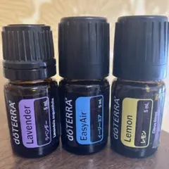 2025年最新】ドテラ イージーエアの人気アイテム - メルカリ