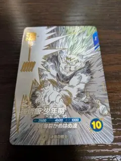 ドラゴンボールスーパーダイバーズ　孫悟飯:少年期　　sdvtd-002