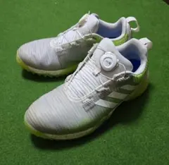 アディダス　コードカオスボア　25.0cm　ゴルフシューズ