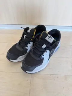 ⭐️値引き交渉可⭐️NIKE AIRMAX ナイキ エアマックス 黒×灰 25cm 