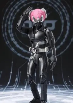 仮面ライダー装動