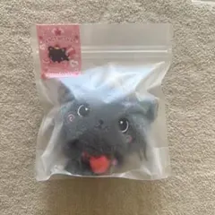NCT WISH wishdoll ぬいぐるみ　マスコット　リク　md