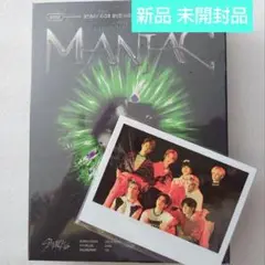 straykids maniac ポラロイド STRAY KIDS OFFICIAL MANIAC DVD Photocard /Blu Ray Polaroid