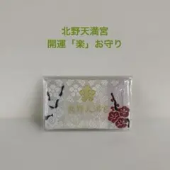 Item thumbnail for item 228e5187-3401-419e-8af4-a3297cc6285a