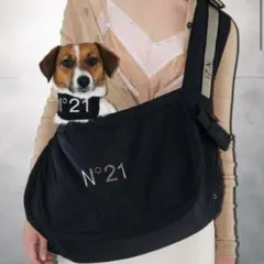 2026年最新】n°21 ヌメロヴェントゥーノ 犬の人気アイテム - メルカリ