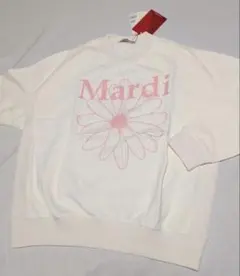 Item thumbnail for item 7807345e-9d7d-447b-a0e2-799d6d9122e9