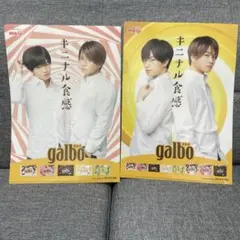 2025年最新】ふまけんガルボの人気アイテム - メルカリ