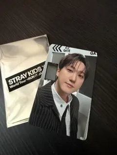 超希少品】Stray Kids リノ SKZHOP リアルタッチフォトカード - メルカリ