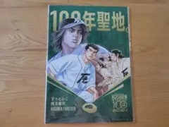 阪神甲子園球場100周年記念コラボ ルーキーズ A3ポスター